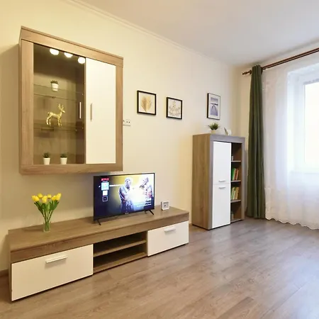 City Apartment *