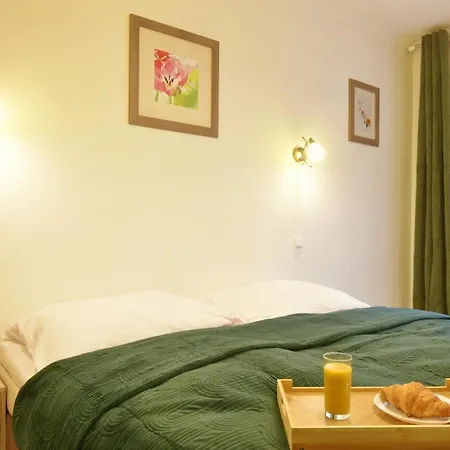 City Apartment Apartment Karlovy Vary